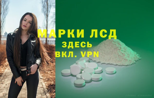 сатива Бугульма