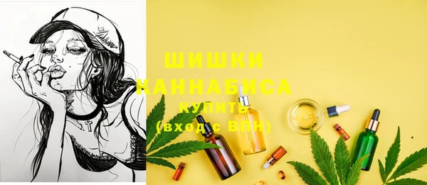 прущий лед Бородино