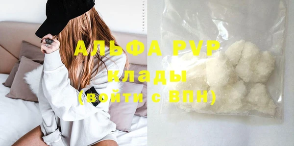 прущий лед Бородино
