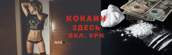 прущий лед Бородино