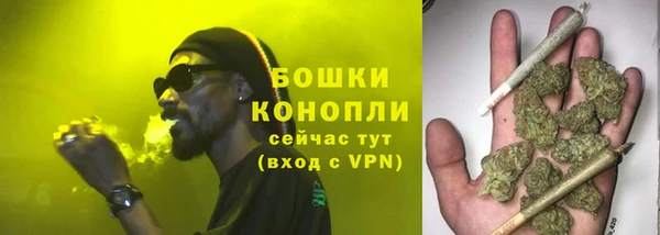 сатива Бугульма