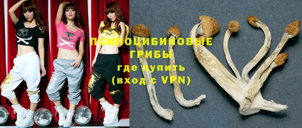 прущий лед Бородино