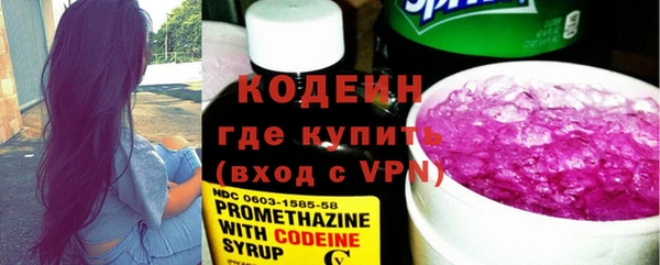 прущий лед Бородино