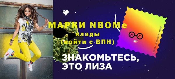 МДПВ Бронницы