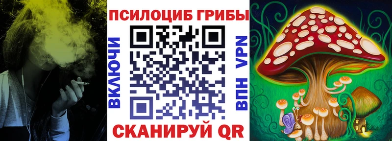 как найти наркотики  Гулькевичи  Псилоцибиновые грибы MAGIC MUSHROOMS 